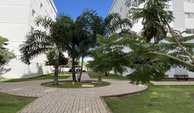IMG_6881