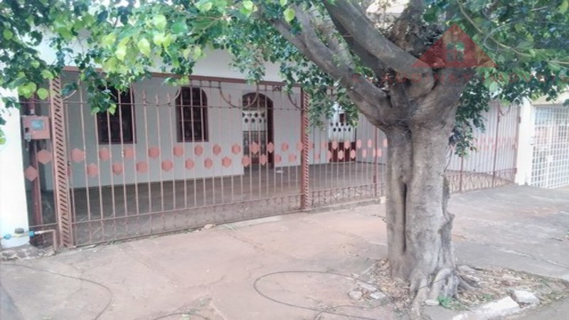 FOTO 01